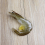 Simulated Shrimp Model PVC Food Props for Decoration 6Pcs Set 4