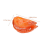 Modelli di abalone simulati con cibo finto, giocattoli in PVC per bambini, set da 6 pezzi 2