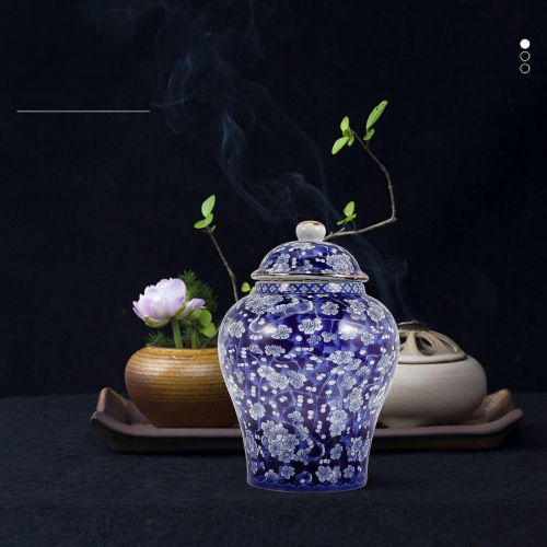Multi-Color Ceramic Tea Canister for Storage and Kitchen Use 2