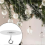 Ganci da soffitto per piante, 8 pezzi, staffe metalliche con fermagli di sicurezza per interno ed esterno 4