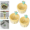 2025 Cactus Sink Drain Filter, Push to Dump, Sink Drain Basket Filter, Kitchen Garbage Collection Filter 4