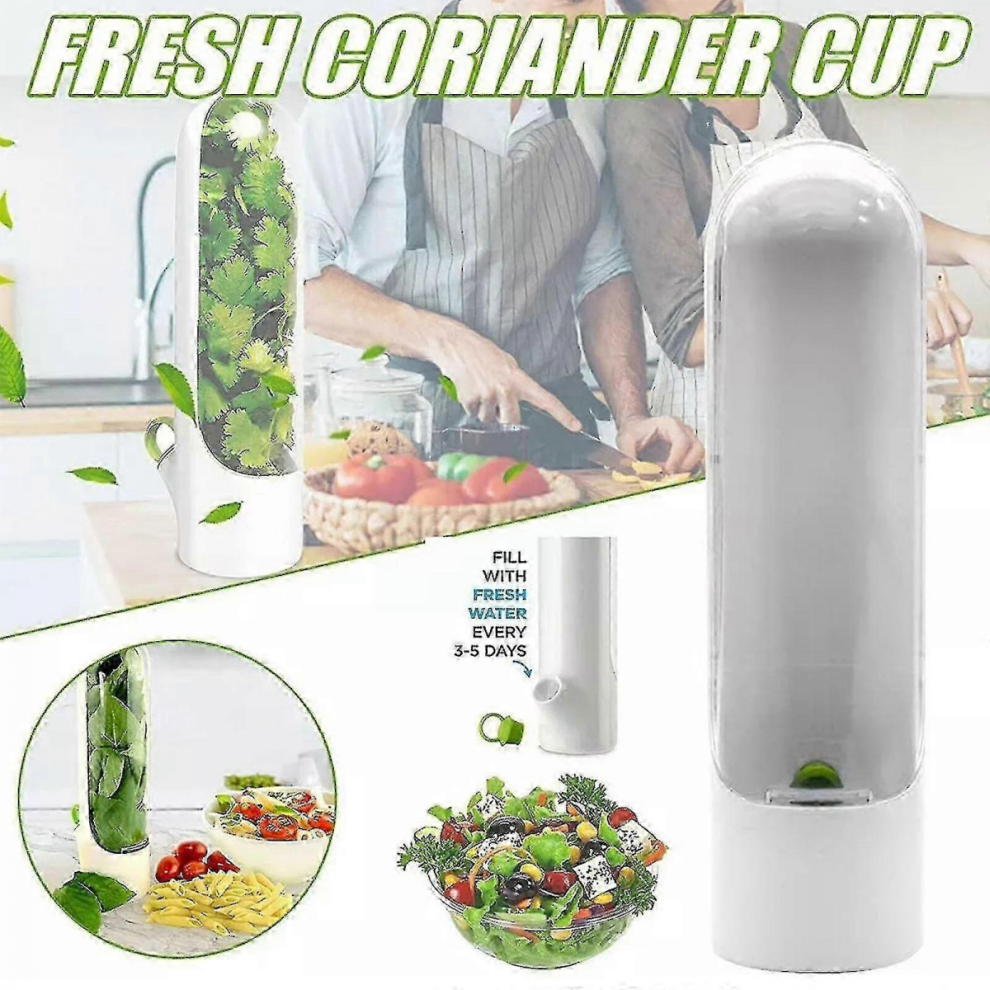 Vanilla Preservation Cup Herb Storage Container Bottle Herb Keeper Gadgets Kitchen Container Vegetables Preservation Fr W7d8 25-26 5008878127565