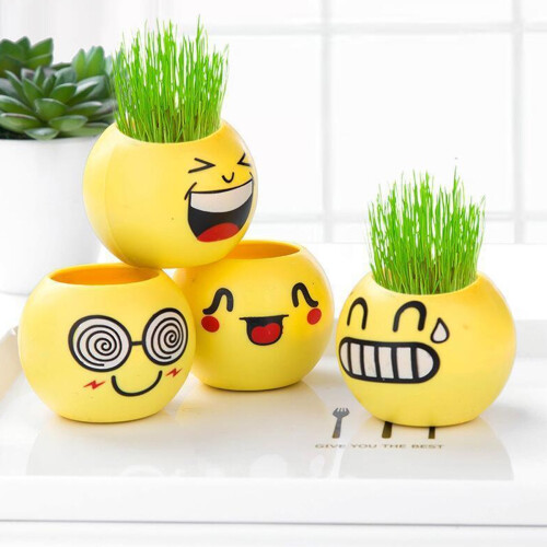 Πολυχρηστική διακόσμηση, γλάστρα emoji με χαμόγελο για γραφείο και παιδικό σταθμό, 2
