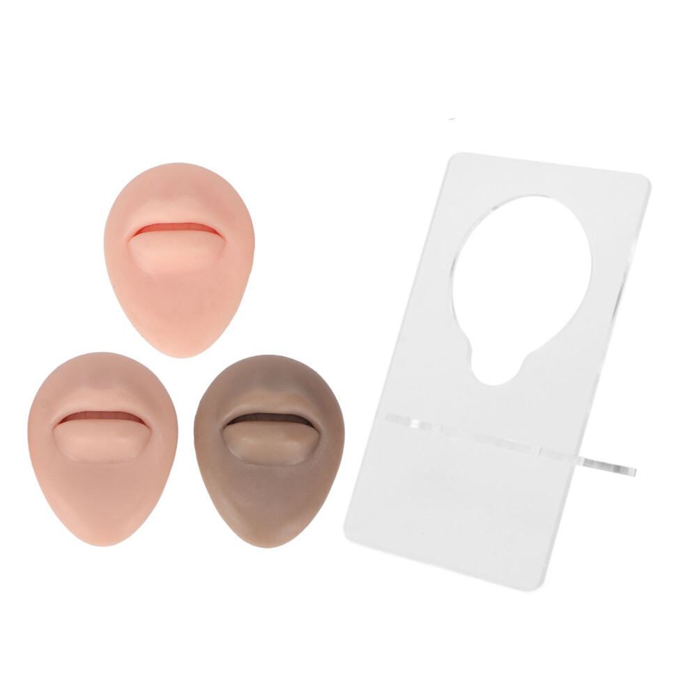 3D Simulation Body Model, Soft Silicone For Realistic Piercing Practice, Display Rack Included For Jewelry Showcase And Teaching Instruction