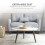 Homcom HOMCOM Modern Chic Loveseat with Armrest Spring Padding, Light Grey 4