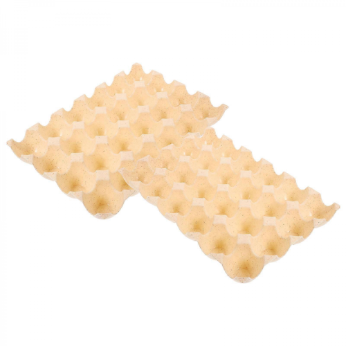 Eggs Container Egg Cartons for Organizing Kitchen 2Pcs Beige Set