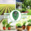 3-in-1 soil meter for light, moisture, pH value 6