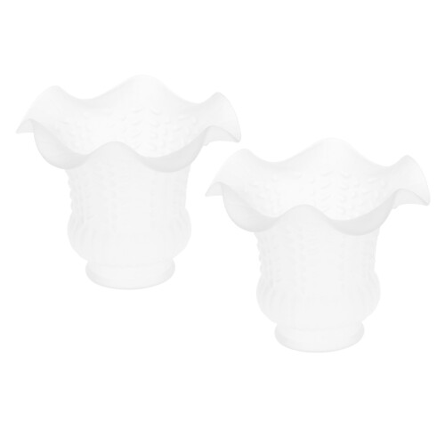 2pcs E27 Modern Flower Shape Clear Glass Ceiling Fan Lights Lampshade