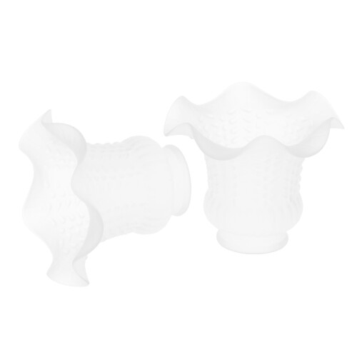 2pcs E27 Modern Flower Shape Clear Glass Ceiling Fan Lights Lampshade 2