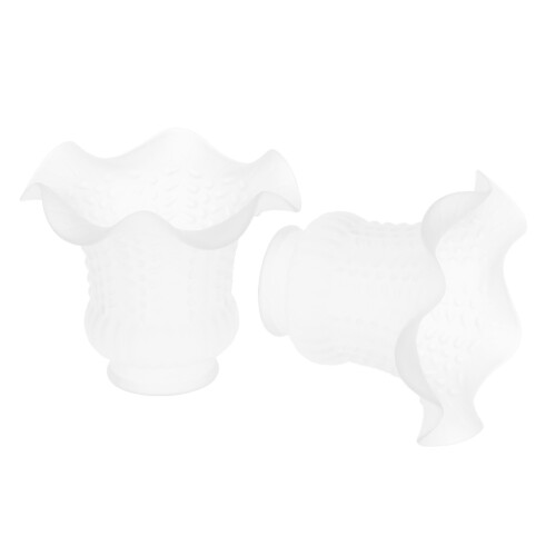 2pcs E27 Modern Flower Shape Clear Glass Ceiling Fan Lights Lampshade 1