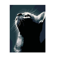 DIY Cat Paint By Number Kit Acrylic Oil Painting On Canvas Home Decor