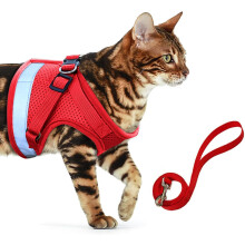 Katzengeschirr mit reflektierenden Riemen, verstellbare Weste für sichere Spaziergänge