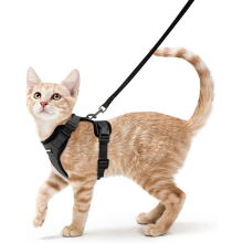 Pet Safety Companion, stoßdämpfendes, elastisches Katzengeschirr mit Leine, lebenslange Garantie, ultraleicht, verstellbare Passform für Katzen