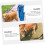 Dog Lead for Walking Dog Pull Rope Double Handle for Controlling the Pet 4