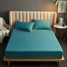 Quilted Mattress Cover Waterproof Protector 180x200x25cm Elastic Bed Protector in Color D