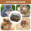 Hamster carrier  ventilated pet cage with exercise wheel for transport Ref: 3344 2