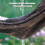 Shade net for greenhouses, sun shade net, 2x3M Black 2