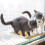 Cat Window Perch Hammock Bed Window Mounted Cat Hammock Durable Easy To Clean Space Saving Cat Bed Hammock 4