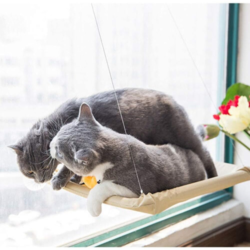 Cat Window Perch Hammock Bed Window Mounted Cat Hammock Durable Easy To Clean Space Saving Cat Bed Hammock 2