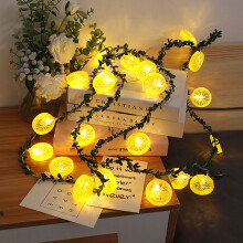Charming Lemon Decor String Lights, Vibrant Summer Party Decorations, Indoor Outdoor Lemon Slice Lights, Battery Operated Fairy Lights, Warm White