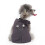 Hundetuxedo mit Fliege, leichtes Polyester, Hochzeitsgesellschaft M 8