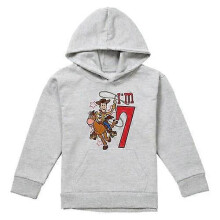 (12-13 Years,Athletic Heather)Toy Story Childrens/Kids I'm 7 Woody Heather Birthday Pullover Hoodie