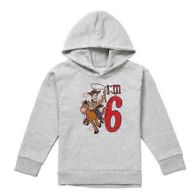 (9-11 Years,Athletic Heather)Toy Story Childrens/Kids I'm 6 Woody Heather Birthday Pullover Hoodie