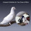 Cat Tracker, Mini Tracker For Pet, Smart Pet Tracker Collar Location 4