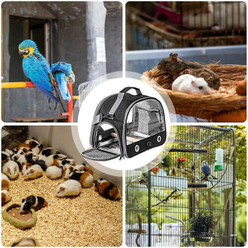 Bird Travel Carrier Clear Cage With Shoulder Window, Light Ventilated Mesh, Removable Perch, Black/White Panel 2