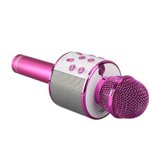 Versatile Rose Red BT Wireless Karaoke Mic & Speaker with Noise Reduction