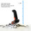 2.4G Wireless 1D Barcode Scanner CCD Handheld Gun, 2000mAh Akku 2