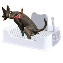 Dog Potty Tray Indoor Dog Potty Training Mesh Puppy Toilet Pee Holder Pair