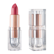 Rossetto Evolution, colore ricco e a lunga durata, impermeabile, idratante, dall'aspetto raffinato, per donne e ragazze, ideale per l'uso quotidiano