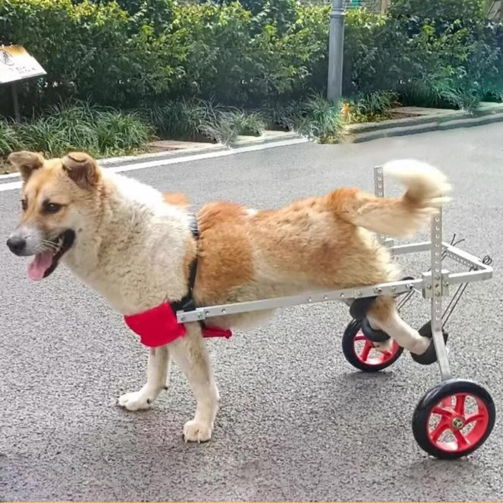 Rehabilitation wheelchair for dogs  cats  Lightweight adjustable pet cart for hind legs (XL).