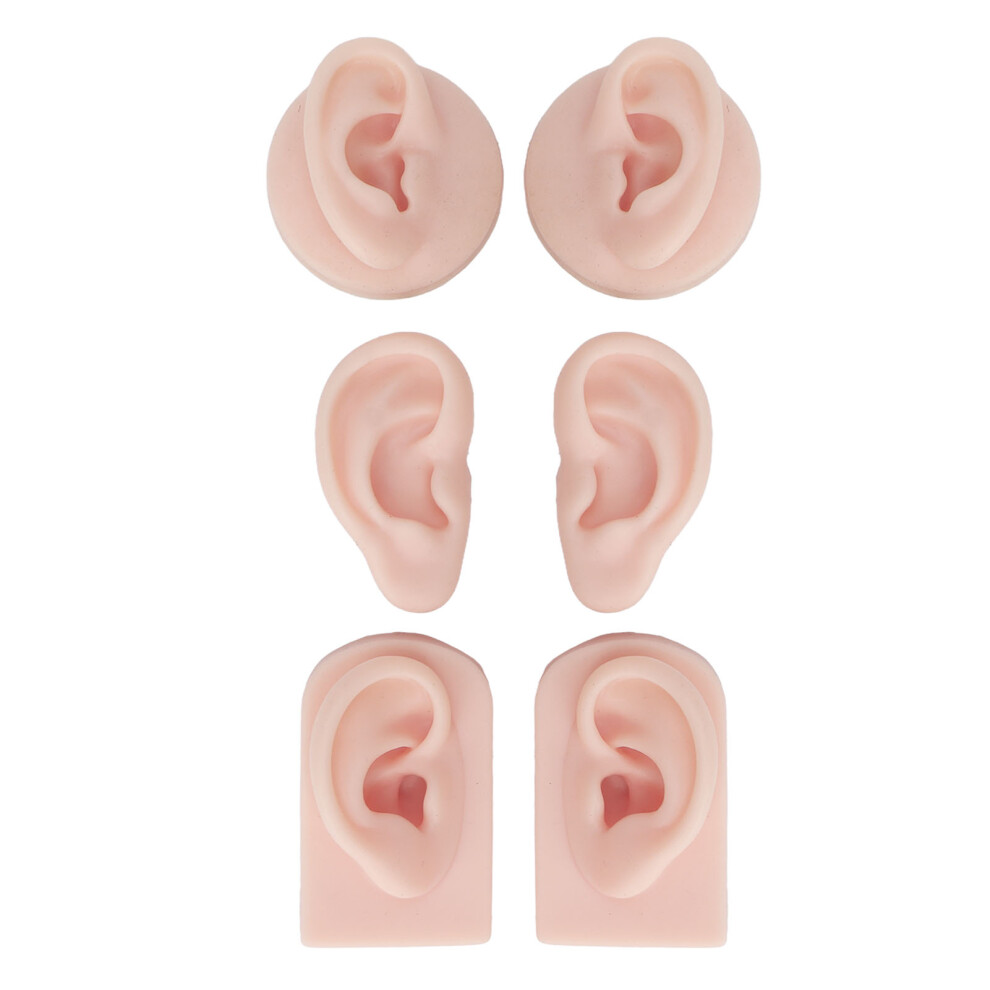 Artificial Ear Display With Superior Craftsmanship, Silicone Ear Model Offers Convenient Usage And Reusable Design Ideal For Professional Teaching To