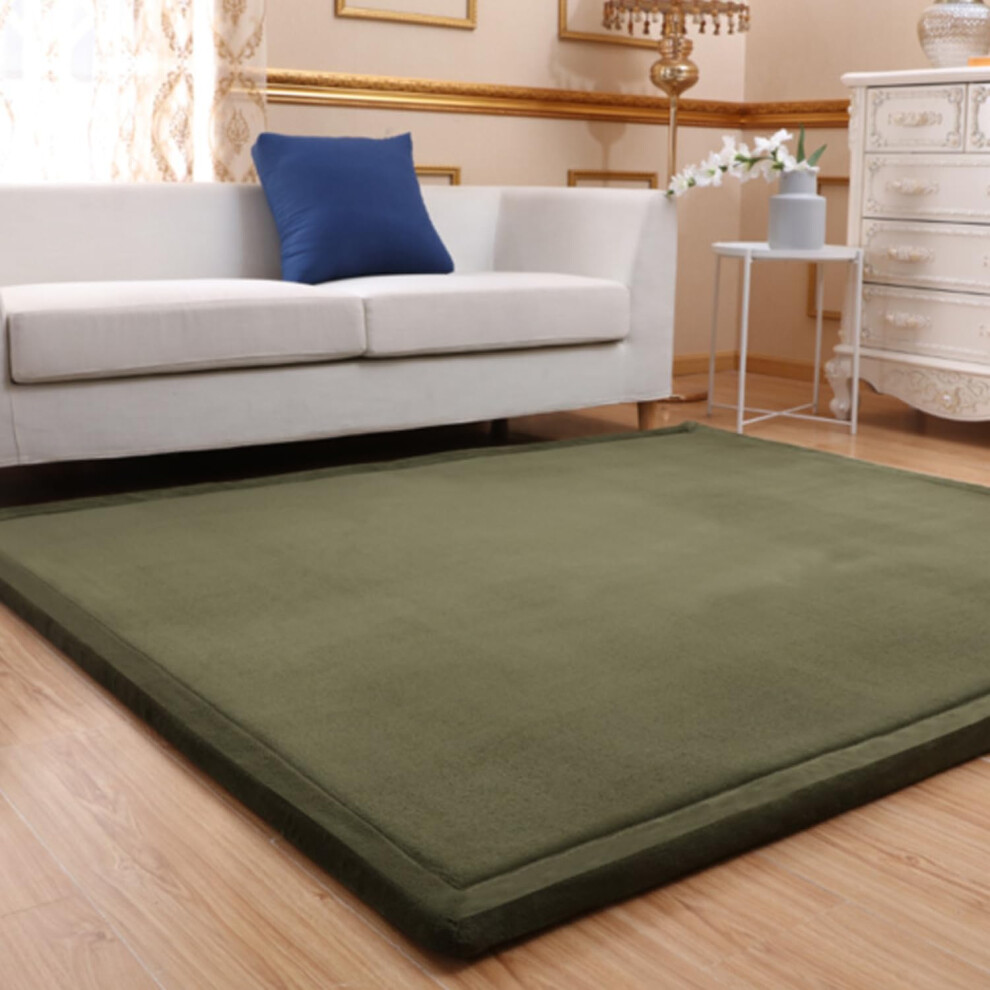 Velvet Area Rug For Living Room And Bedroom, NonSlip Soft Carpet, Kids Toddler Play Mat, Crawling Activity Rug