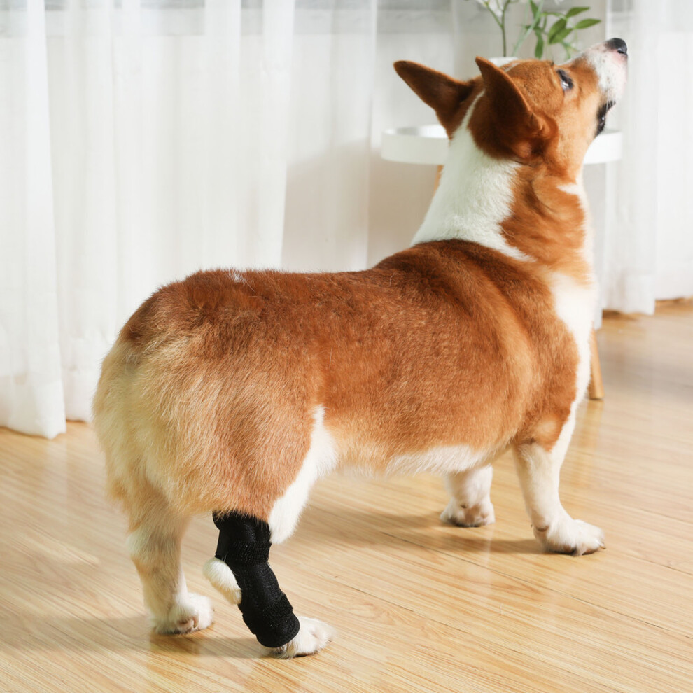 Dog Rear Leg Brace - Support & Lick Prevention, Neoprene, Size L