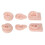 Professional Teaching Tool, Artificial Ear Display For Convenient Usage And Reusable Design, Silicone Ear Model With Realistic Practice Experience Id 4