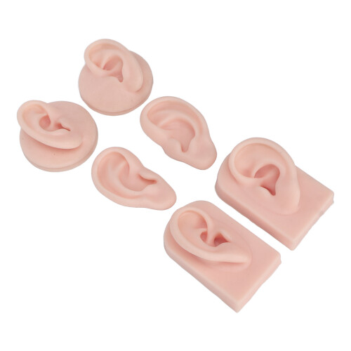 Professional Teaching Tool, Artificial Ear Display For Convenient Usage And Reusable Design, Silicone Ear Model With Realistic Practice Experience Id 2