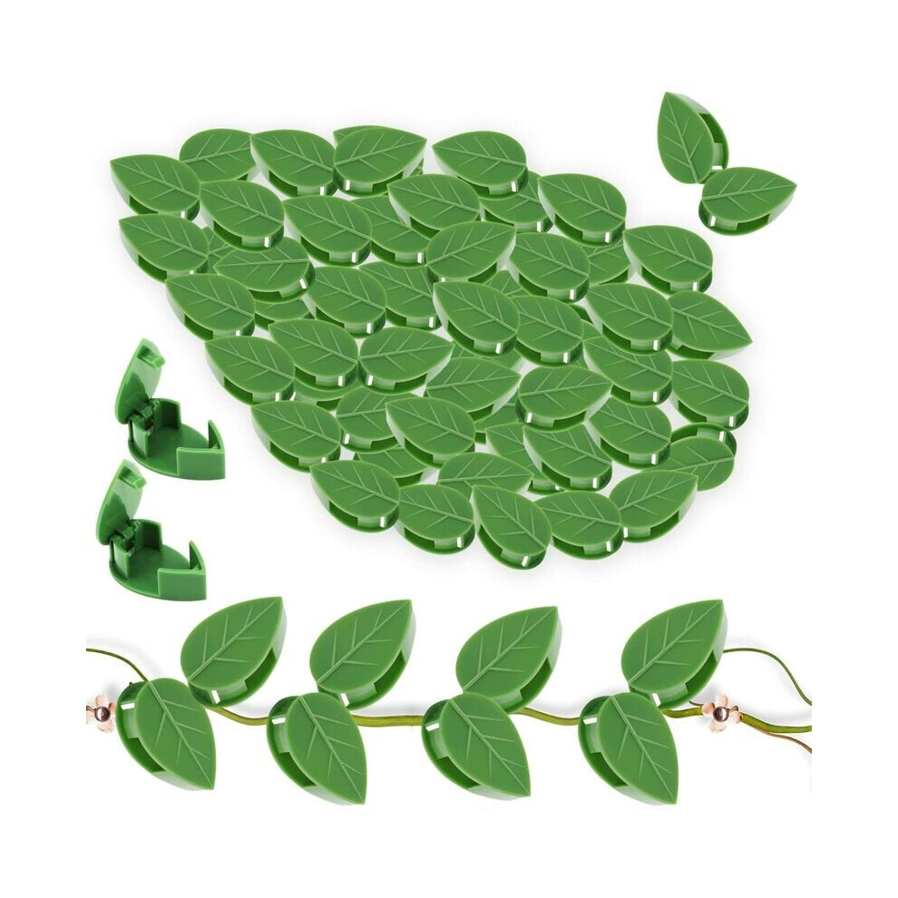 Durable Abs Resin Plant Climbing Wall Fixture Clips, High-viscosity Glue Creative Plant Clips For Indoor Outdoor Decoration-image-OPC-PPT8WN9-NEW