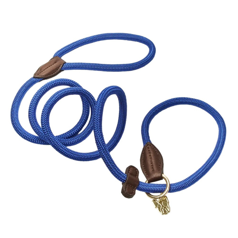 Digby & Fox Leather Dog Slip Lead - Blue - Image 2