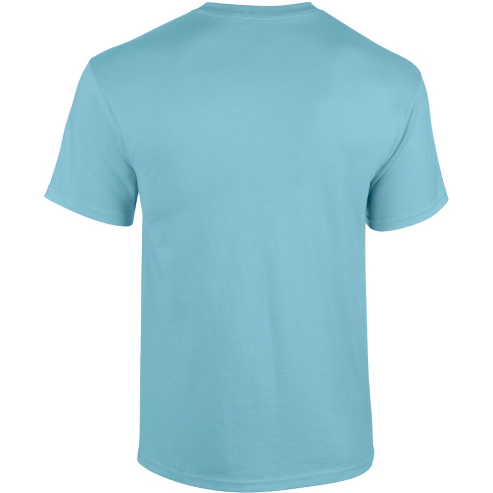 Gildan (Xl, Sky) Mens Heavy Cotton Short Sleeve T-Shirt Multicoloured