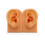 Soft Silicone Simulation 1:1 Human Ear Model Ear-White 5