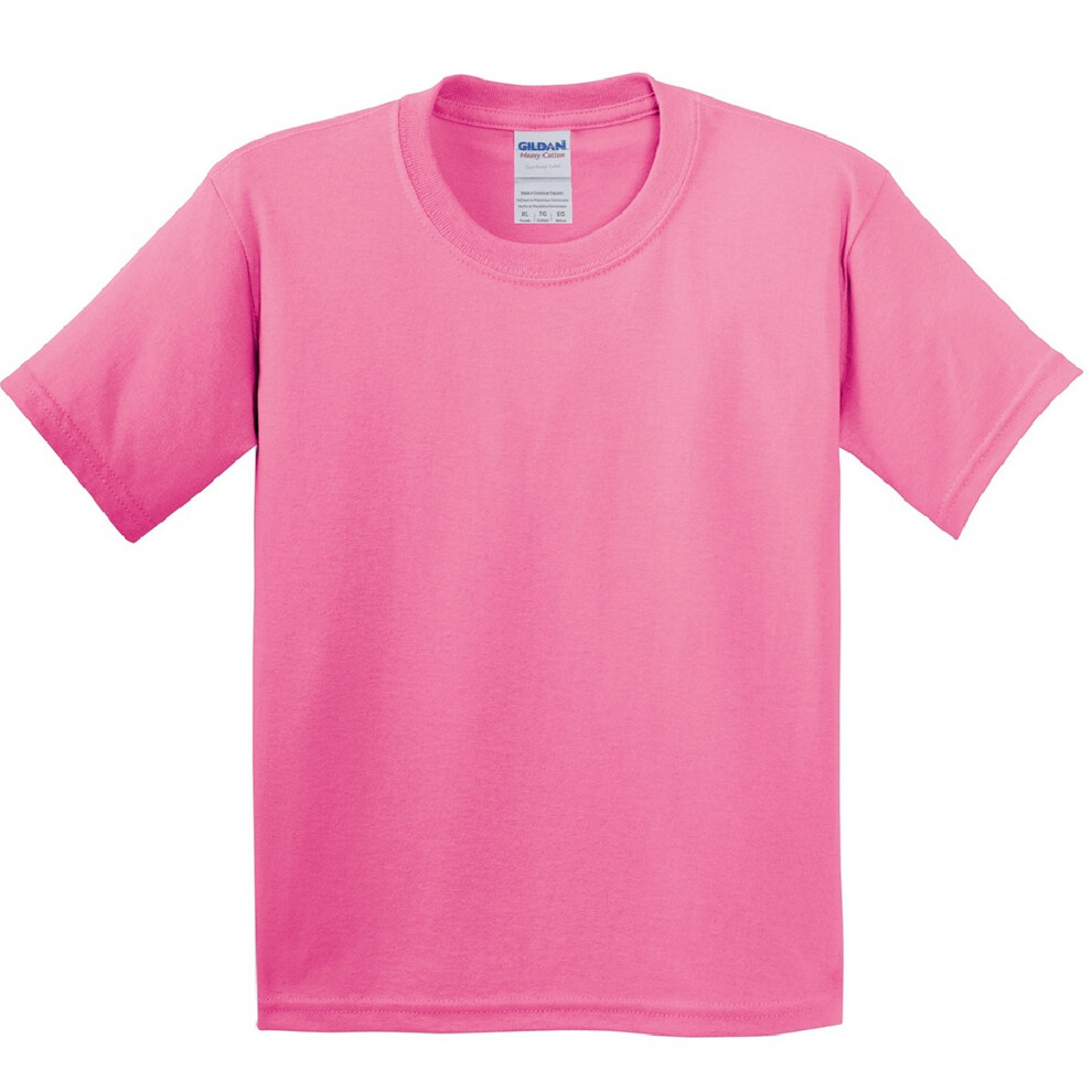 Gildan (L, Azalea) Youth Unisex Heavy Cotton T-Shirt Multicoloured