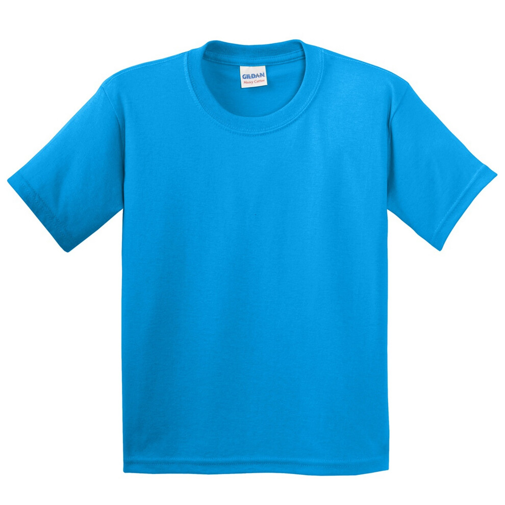 Gildan (Xl, Saphire) Youth Unisex Heavy Cotton T-Shirt Multicoloured