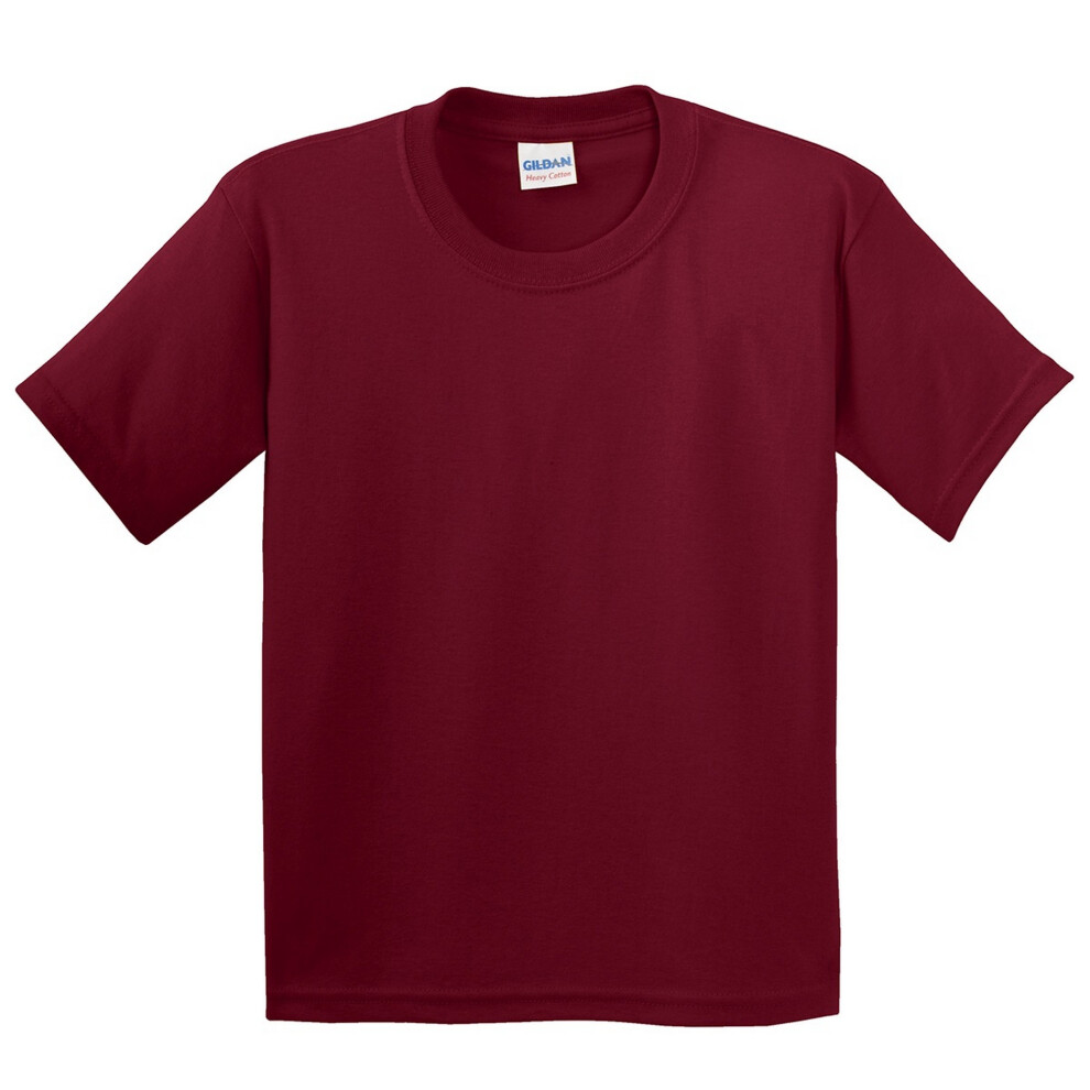 Gildan (L, Cardinal) Youth Unisex Heavy Cotton T-Shirt Multicoloured