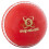 Readers Readers Supaball Cricket Ball 1