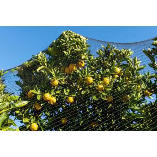 Garden Protection, Multi-function Net 5Cm X 5Cm Mesh Size Easy Setup Stronger Than Plastic For Orchard Coverage, Black (15M X 15M), Fruit Tree 2