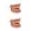 2Pièces Typodont Dents Rose PVC Pour Formation Consultation 7