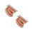 2Pièces Typodont Dents Rose PVC Pour Formation Consultation 6